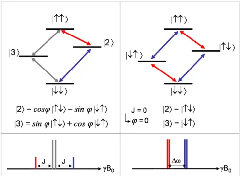 Figure 1.5: Energy level and spin-states in the exchange coupled spin pair (left) and without exchange coupling (right) with the correlated stick spectra indicated below.