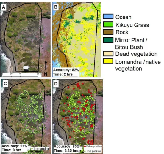 Fig. 11. Average producer ’s accuracy for mapping Lomandra plants, estimated via bootstrapping for each of the mapping approaches evaluated (twenty ﬁve cal- cal-culations, 74 ground referencing points)