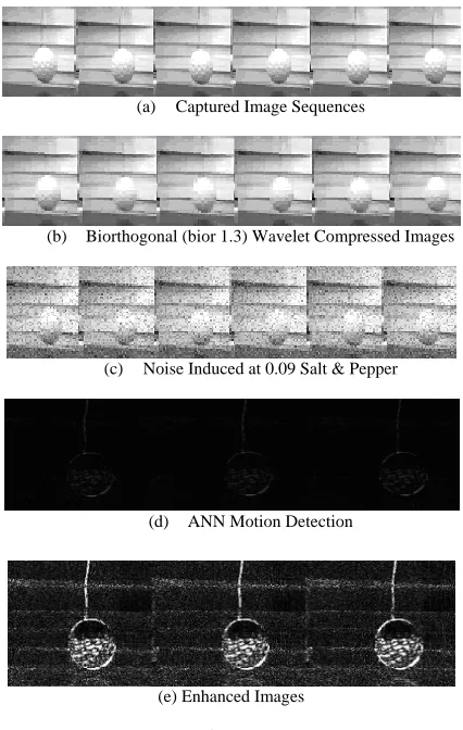 Fig. 4(b), Fig. 5(b) and Fig. 6(b)). Sequence 3, noise is induced: The same level of noise is induced to each frame of each image sequence (Fig