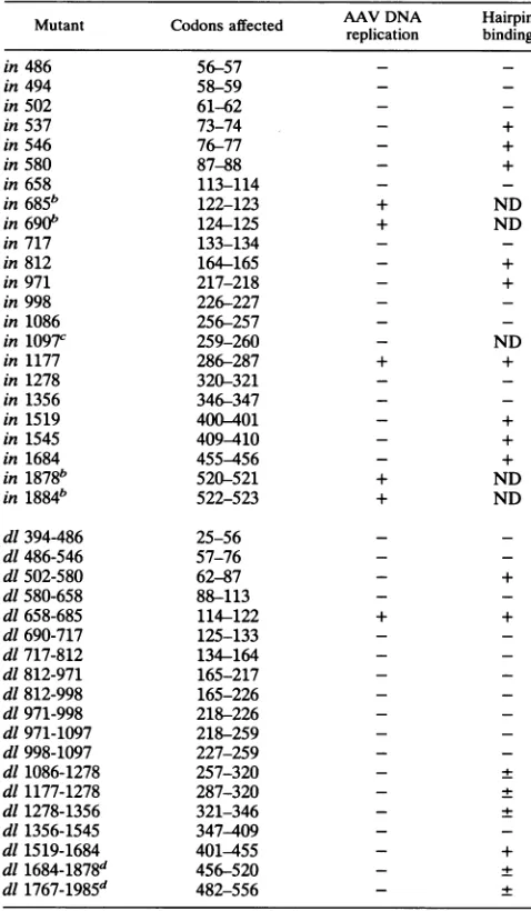 TABLE 1. DNA binding of AAV rep gene mutants'