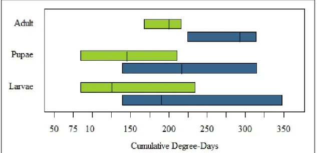 Table 2: Degree-days for development of SWD in other experimental studies. Includes  16 studies with varying substrate, temperature, and RH
