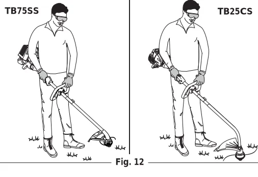 Fig. 14F11