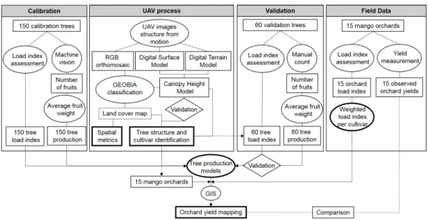 Figure 1. Schematic workflow of the main steps for orchard yield mapping. Each step is fully detailed  in Materials and Methods
