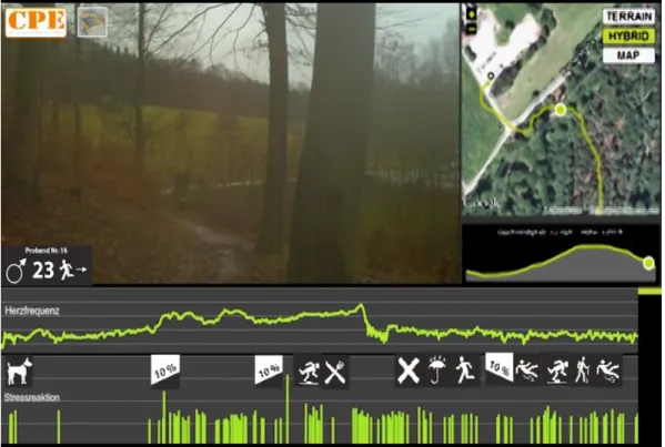 Fig. 1: Retrospective individual video analyses of a test run during a hiking tour of one proband (Exner et al