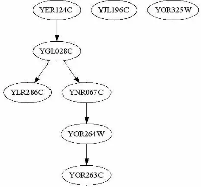 Figure 6 YOR263 Subnetwork 