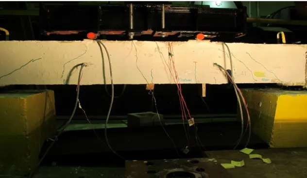 Figure 3.5: Images form Lab Observations 