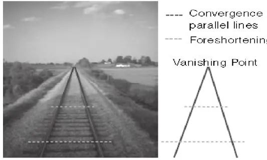Figure 3.9: Effect of perspective projection model (Solomon &amp; Breckon, 2011) 
