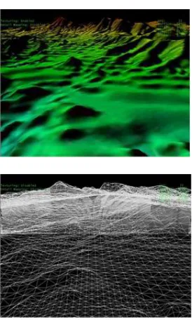 Figure 4.3 Textured and wireframe terrain model 