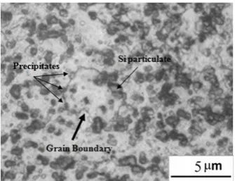 Fig.11. Micrographs of the typical localized corrosion after  AW BM A319 parent metal, (b) AW BM A356 parent metal, the immersion tests in a NaCl/H2O2 solution for 6 hours: (a) (c) PWHTed A319 parent metal and (d) PWHTed A356 