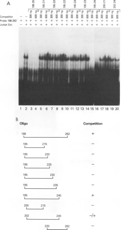 FIG. 3.wasHTLV-Ifromchecked3(B) and Band shift analysis of the protein(s) that binds to the R/U5 DRE 1