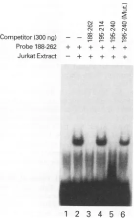 FIG.5.5)tions(+(300and+188  Mutational analysis of DRE1. The wild-type probe 188 to +262) was incubated alone (lane 2) or with a 25-fold excess ng) of a competitor oligonucleotide containing sequences from to +262 (lane 3), +195 to +214 (lane 4), or +195 to +240 (laneor the +195 to +240 five-base mutant containing base substitu- at +204 (C to A), +205 (T to G), +210 (C to A), +213 (C to A), +216 (G to A) (lane 6).