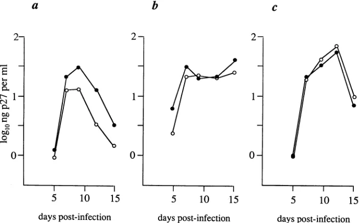 FIG. 2.(oneassayed The NF-KB site has modest effects on growth of SIV in three established CD4' cell lines