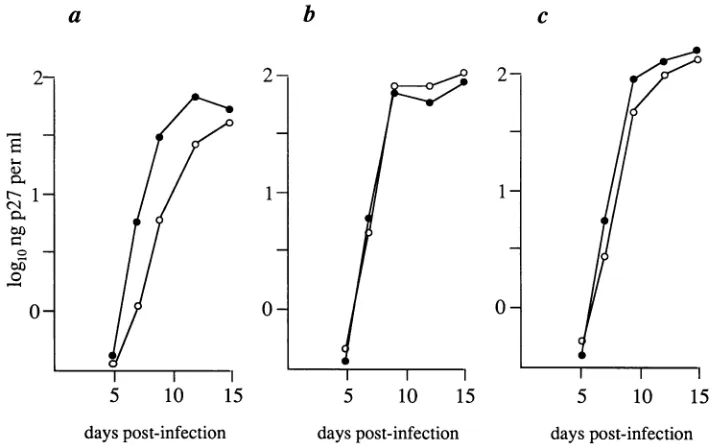 FIG. 6.from The NF-KB site is not essential for efficient replication of Em* in PBLs. (a, b, and c) Growth curves of Em* or Em*CTC in PBLs individual macaques