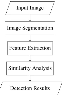 Figure 1.1: Copy Move Image Forgery Detection Process