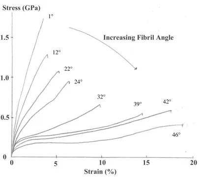 Figure 1.2 Load-elongation curves for black spruce fibers (45% yield kraft) forvarious fibril angles (Page and El-Hosseiny, 1983).
