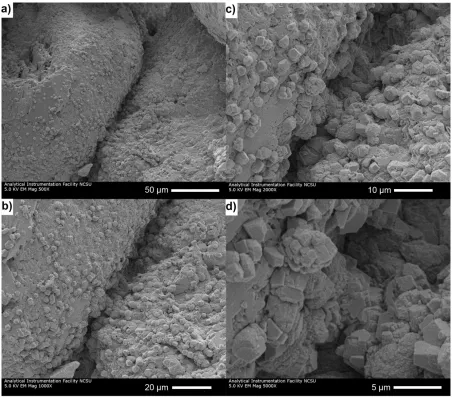 Figure 3.10 Scanning Electron Microscopy (SEM) images of moderately cemented sand 