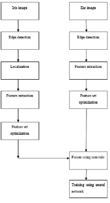 Figure 3. Iris Biometrics 