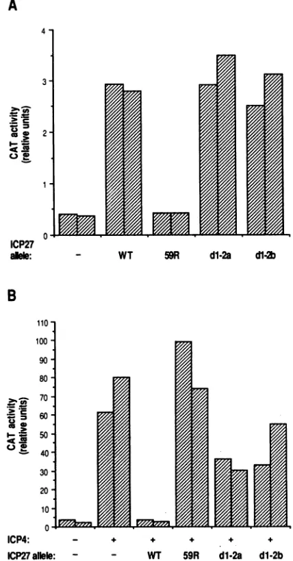 FIG. 2.wereby-sideVeropgBCAT(-175)transrepressionplasmid.transrepressionmutantoftransfectedactivities,ug CAT Evidence that the dl-2 plasmid mutants are defective for but not transactivation