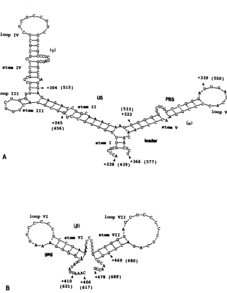 FIG. 6.markednumbersregion.Stemstheminimizationformingformedarestructure.and+339)+469