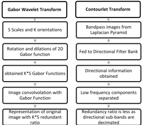 Figure 7: Comparison of Gabor Wavelet Transform Method and Contourlet Transform Method [127] 