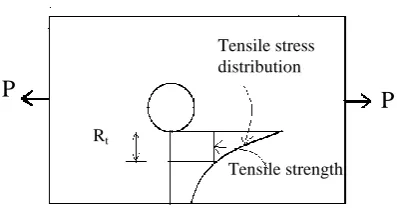 Fig. 3.  Schematic representation of compressive loading  
