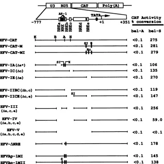 FIG. 3.verticalHFVAp-1MIHc,oftotreatmentnucleotideto-74; Fig. -302 CAT Effects of deletions of putative BRE and NRE on HFV LTR promoter activity