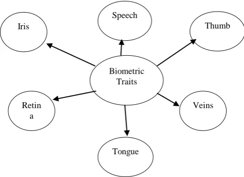 Figure 2 below describes the working model of iris recognition using HCT, PCA and Hamming distance in MATLAB 7.10