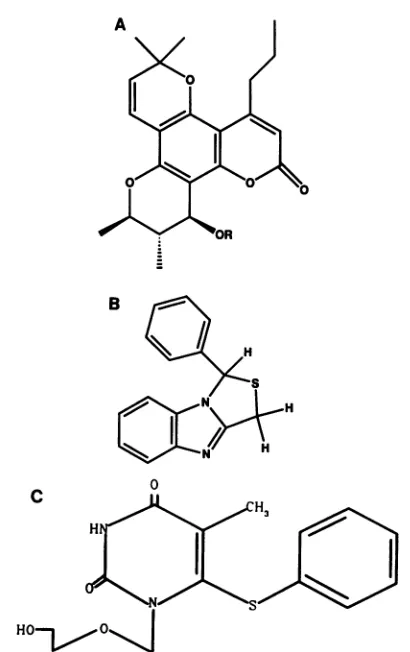 TABLE 1. RNA-dependent DNA polymerase activities of thevariant HIV-1 RTsa