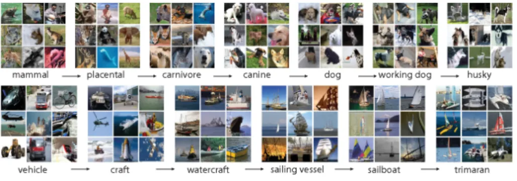 Figure 1.1: Image classification examples for images from ImageNet [26]