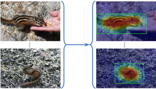 Figure 1.8: Object co-localization examples.