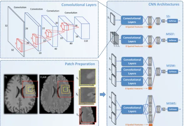 Figure 2.6: Patch preparation process (left bottom) and different CNN architectures (right) proposed by Ghafoorian et al