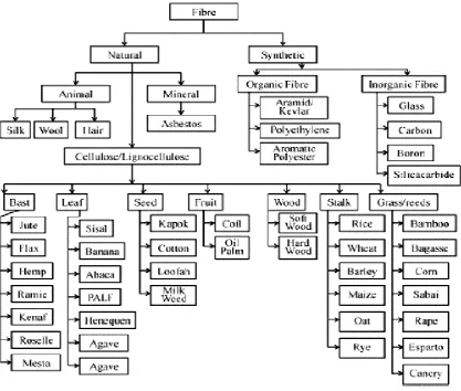 Figure 2.2: Classification of fibre (Alkbir et al., 2016) 