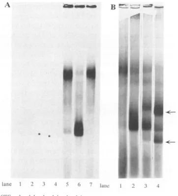 FIG.binding