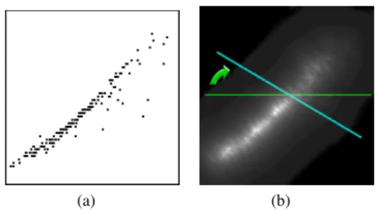 Figure 3: Scatterplot example and its respective density image. For each pixel we compute the mass distribution along different  direc-tions and save the smallest value, here depicted by the blue line.