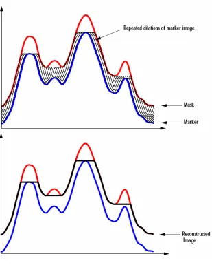 Figure 8  Repeated Dilations of Marker Image, Constrained 