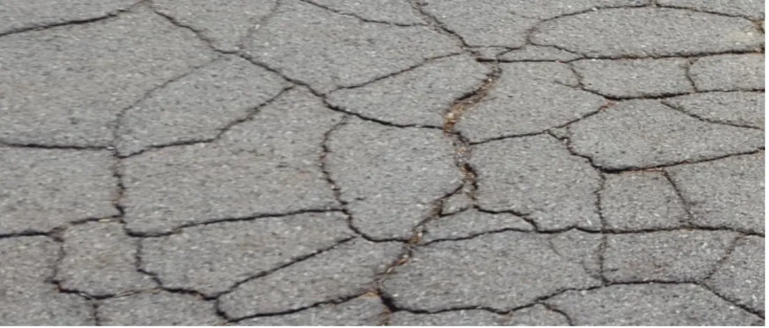 Figure 2.1 Alligator cracking 