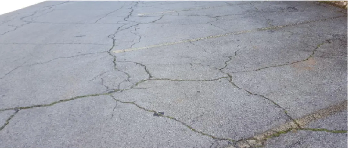 Figure 2.2 Block cracking 