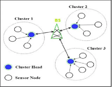 Figure 1. WSN Cluster Architecture 