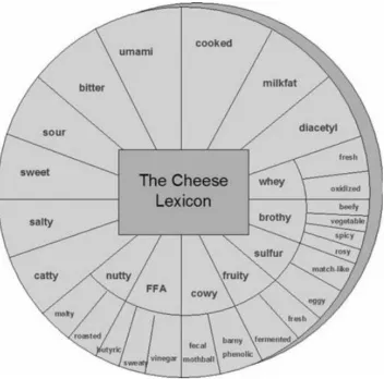 Figure 1.1. Graphical representation of the basic and advanced levels of the Cheddar cheese flavor lexicon (Table 1.3) taken from Drake, 2009