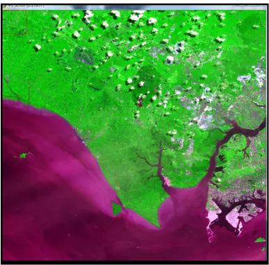 Figure 1.1: ASTER Satellite Image (2002) 