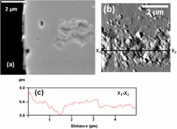 FIG. 11: Gold nickel bottom electrode after failure (1mA). (a) The SEM image and (b) the AFM image of the micro-contact