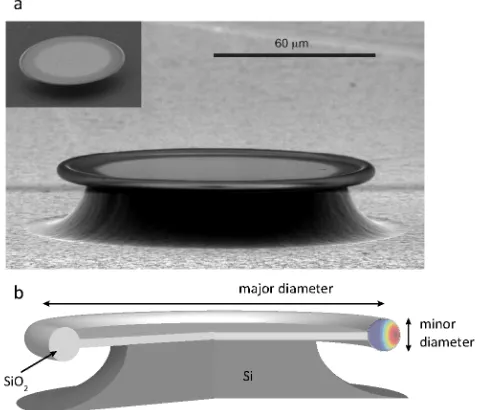 Fig.2.1d). Because of the poor thermal conductivity of silica, the outer rim of the disk can