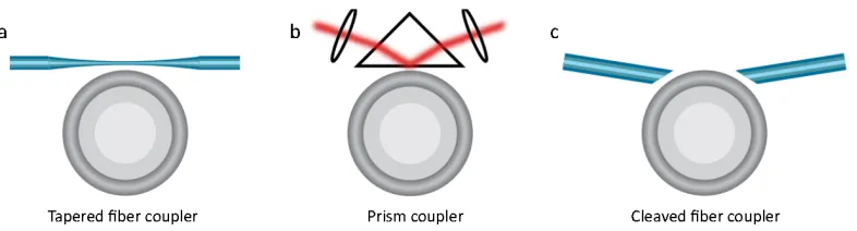 Figure 2.3: Resonator coupling methodsﬁber coupler[81]. Similar approach with prism, but prism is altered by cleaved ﬁber