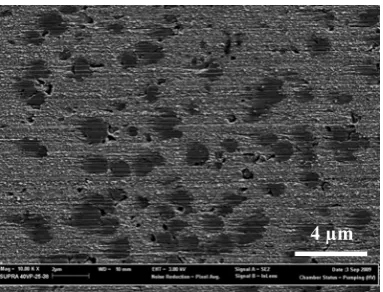 Figure 10: SEM image of the bead produced with laser power 2 kW, powder mass flow rate 1.58 g/min, focus -18 and feed rate 150 mm/min