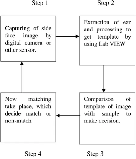 Figure 1: Ear Sample Image 