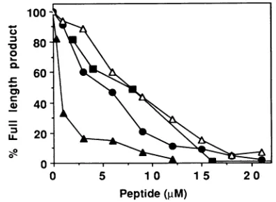FIG. 1.peptidesinofreactiondigested both peptides Effect of peptides (50 ,M) on the formation of full-length M13 by HSV-1 PoWIUL42