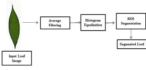 Fig. 1 Overall block diagram of the proposed methodology 