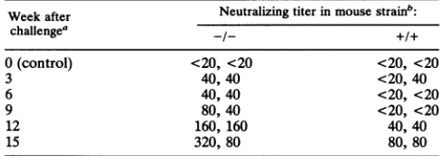 TABLE 2. Numbers of spleen cells forming antibodies against LCM virus during primary infection of P2m-lacking miceand their +/+ counterparts