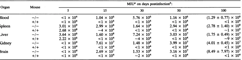 TABLE 4. Persistence of LCM virus in blood and organs of 12m-free mice lacking CD8+ T lymphocytes