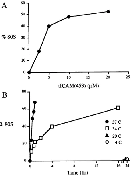 FIG. 4.wason34°C,timesdients.(B)(data Dependence of tICAM453-mediated uncoating of HRV3 ICAM-1 concentration, time, and temperature